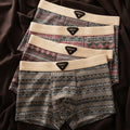 James | Men's Retro-Style Boxer Briefs