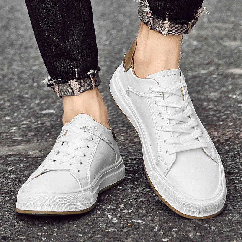 Men's Low-Top Sneakers | Lace-Up Front & Rubber Sole